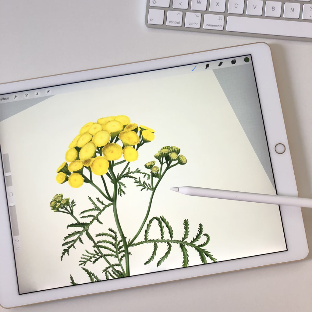 Favorite tool for surface pattern design: iPad Pro