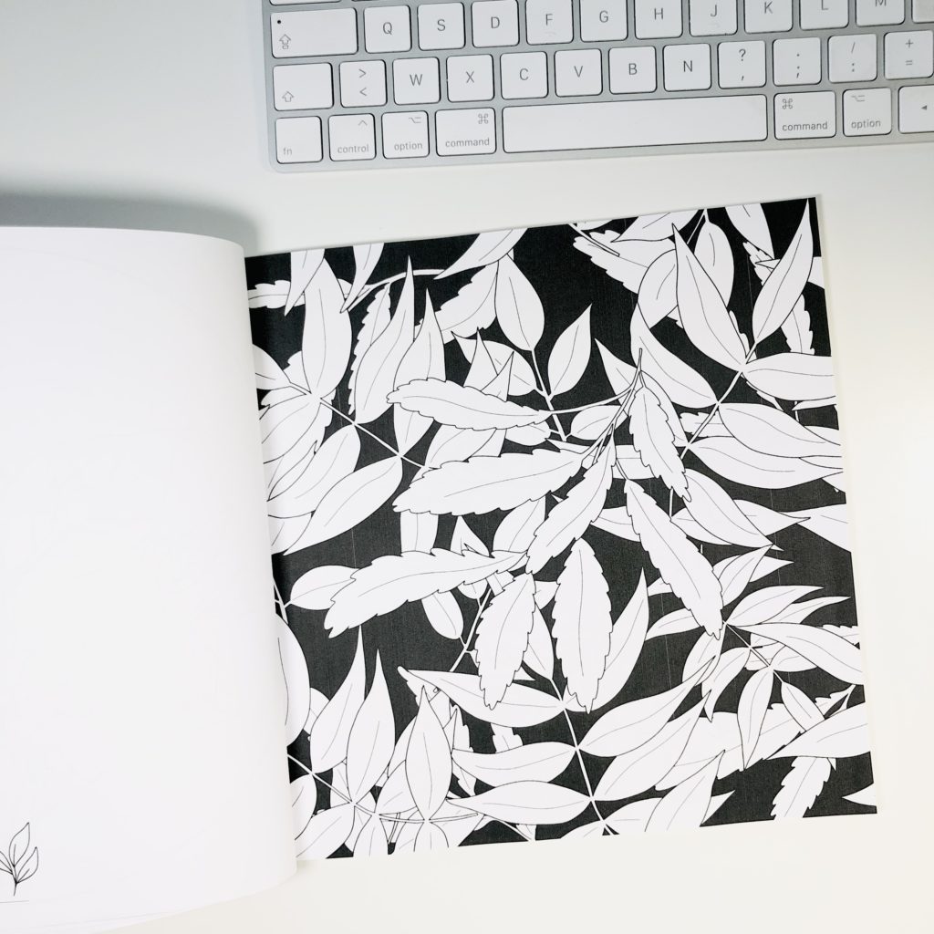 Internal page from a world with flowers, a floral coloring book, leaves